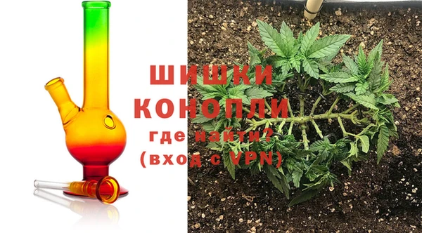 соль ск Белокуриха