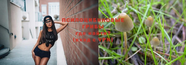 индика Белоозёрский