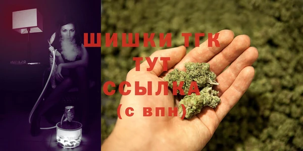 соль ск Белокуриха