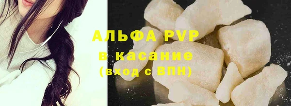 индика Белоозёрский