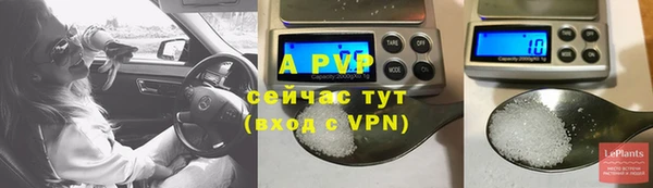 соль ск Белокуриха