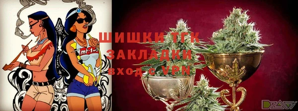индика Белоозёрский
