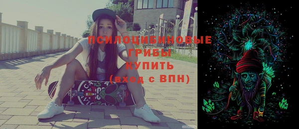 соль ск Белокуриха