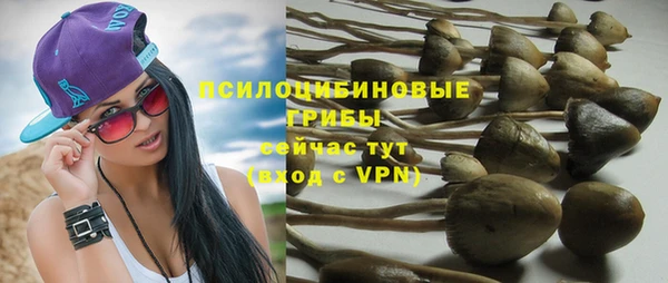 соль ск Белокуриха