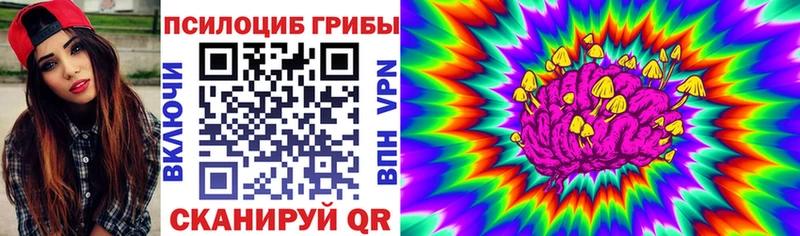 Псилоцибиновые грибы Cubensis  дарнет шоп  блэк спрут tor  Купино 